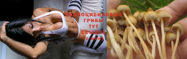 марки nbome Армянск