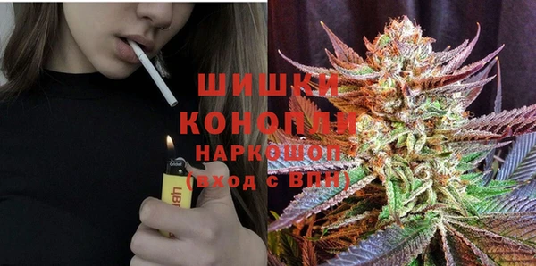 сатива Балахна