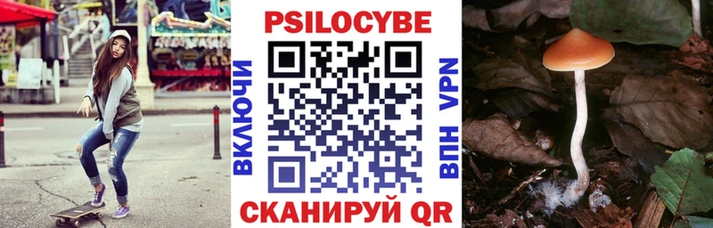 blacksprut вход  Лебедянь  Галлюциногенные грибы ЛСД  купить  